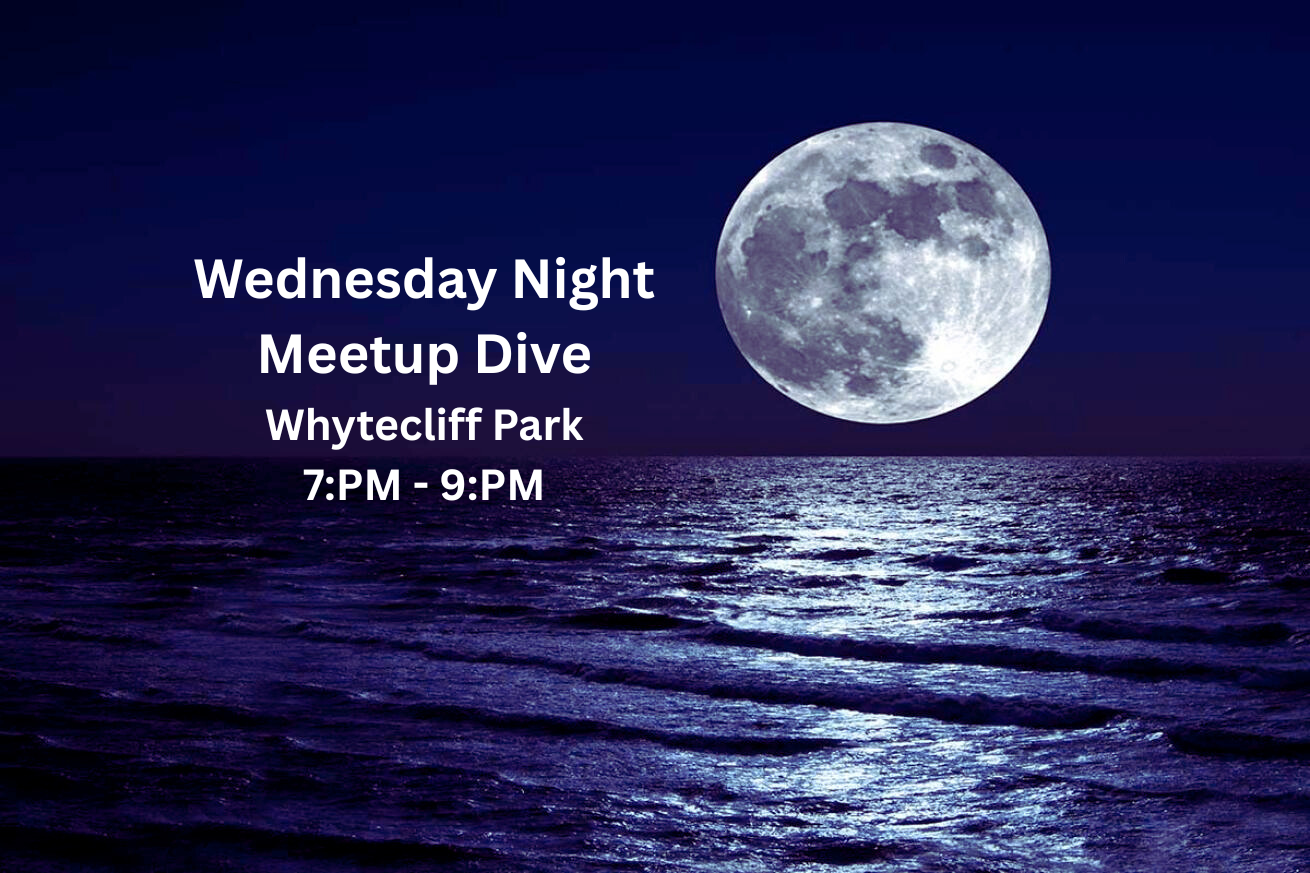 Wednesday Night Dives at Whytecliff