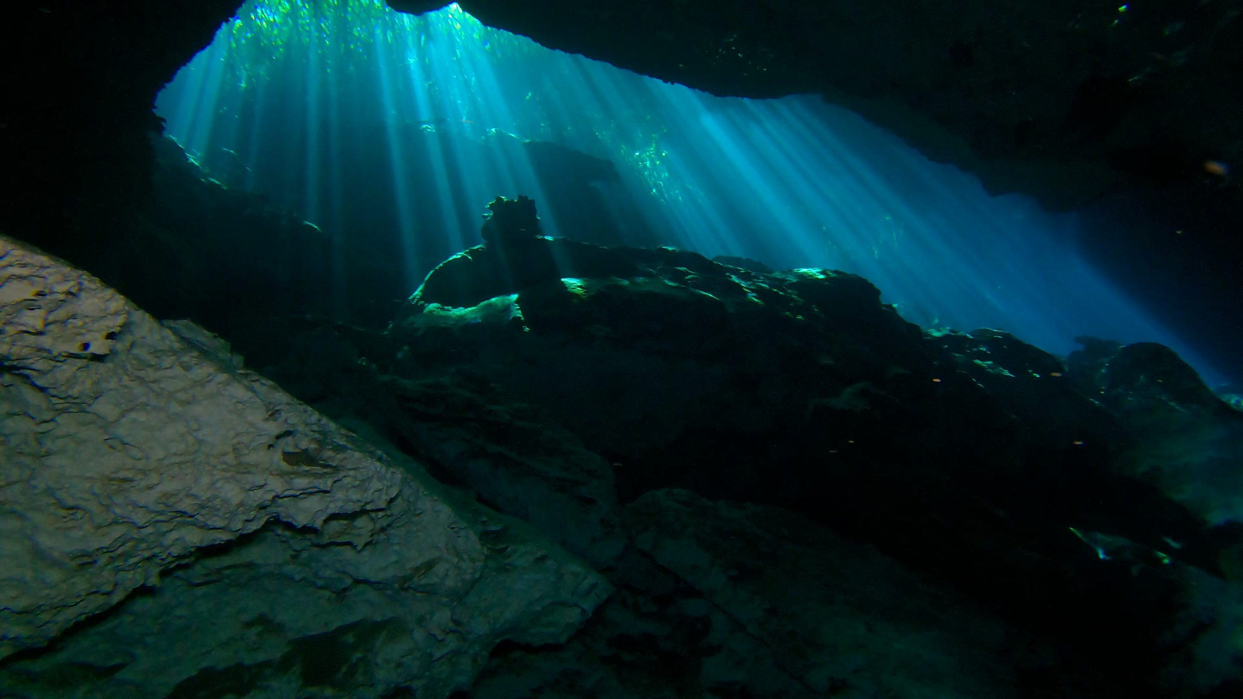 Quintana Roo in March: Reefs, Cenotes, and the Seeds of a Future ScubaMUDs Trip